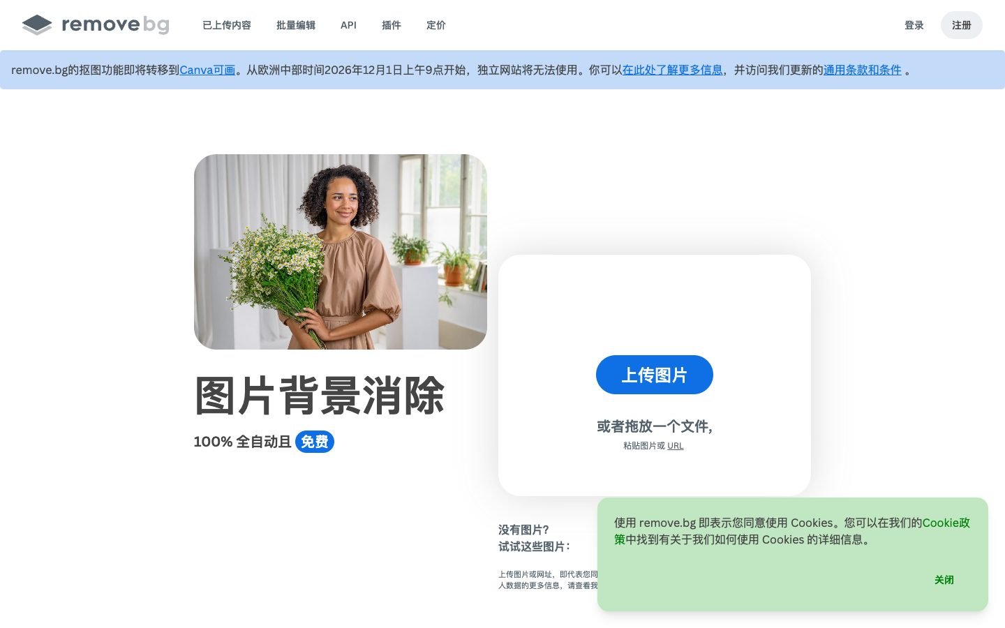 remove.bg background removal page
